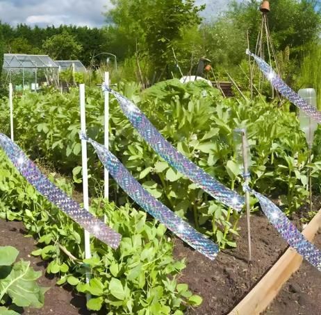 Double Sided Reflective Bird Scare Tape